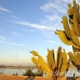 luxor_lux_h_0018_egy2604.jpg